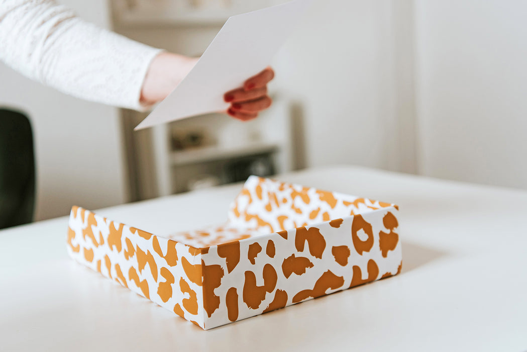 Leopard Print Letter Tray